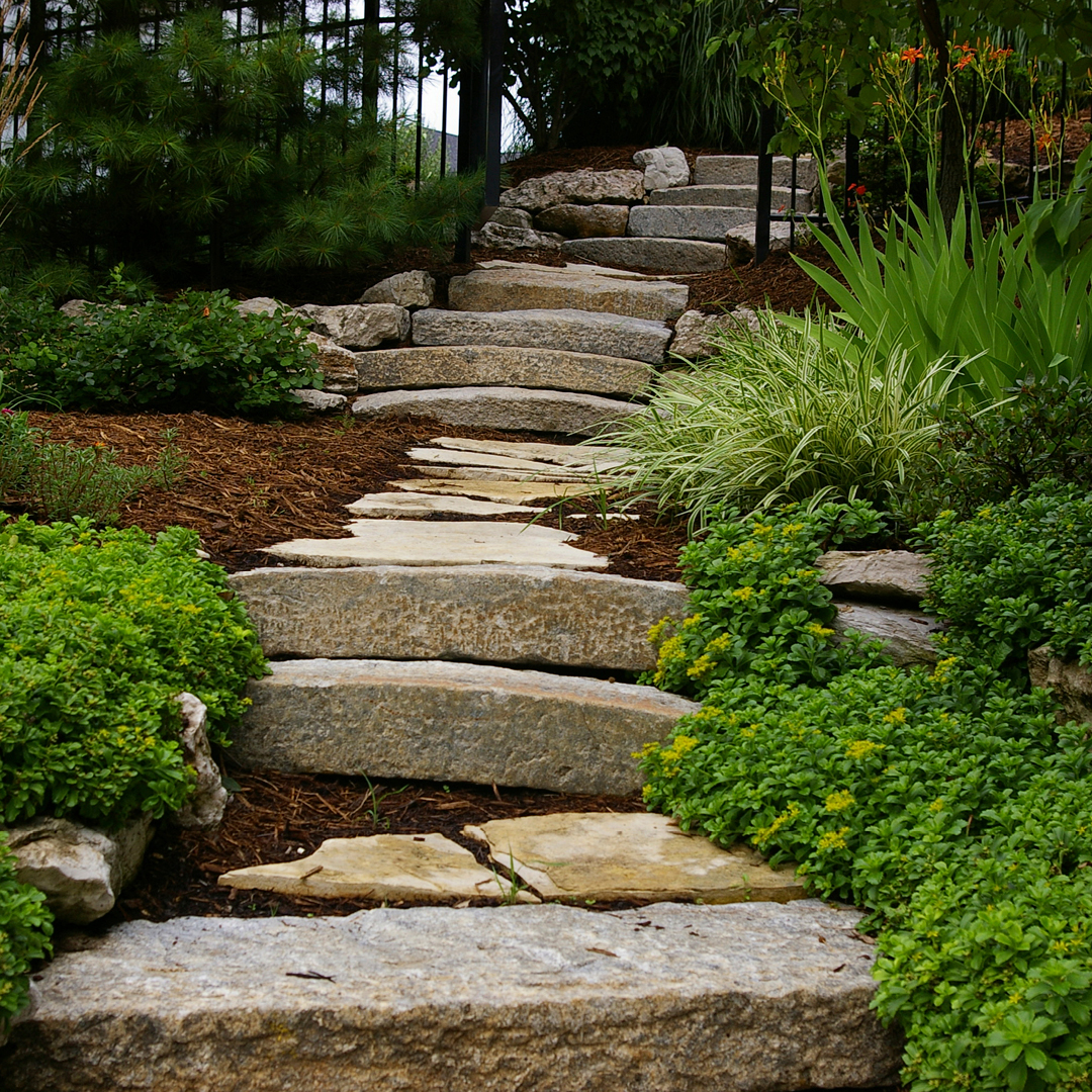 Xeriscape Landscaping